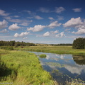 ahja-jogi