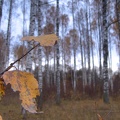 autumn eestis
