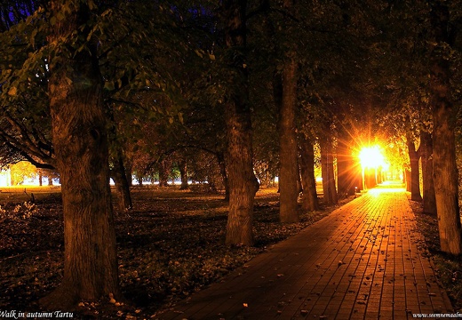 night-walk