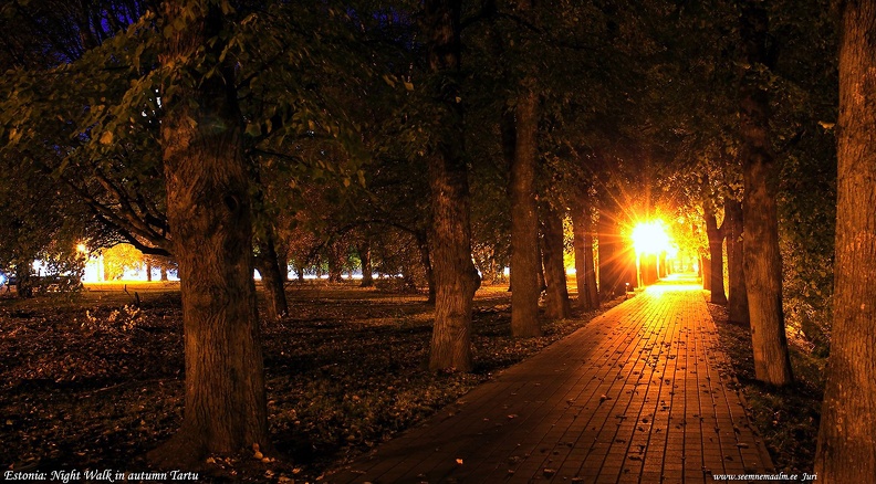 night-walk.jpg