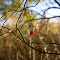 october-in-estonia