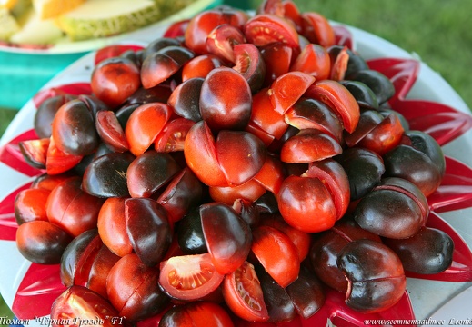 tomat-chornaya-grozd-f1