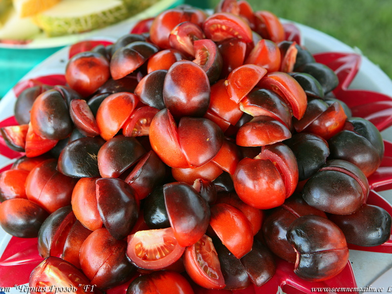 tomat-chornaya-grozd-f1