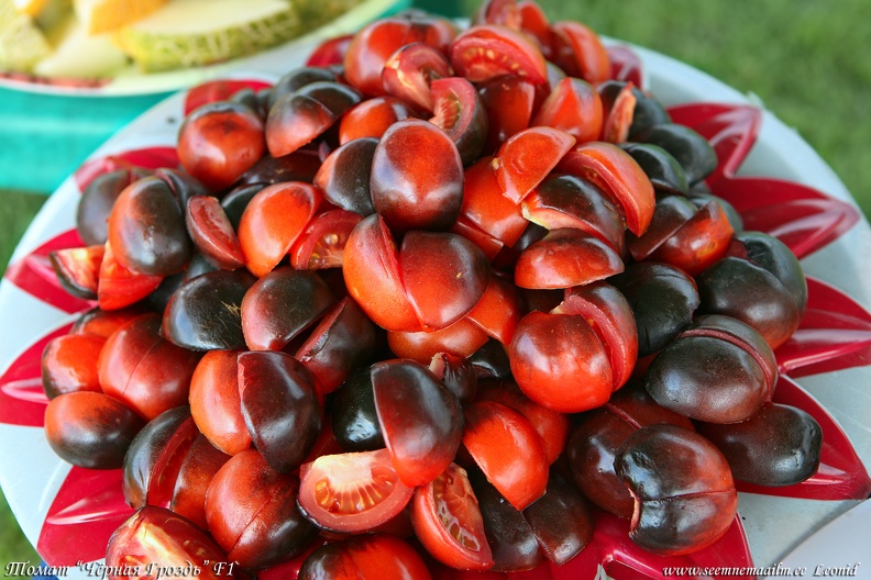 tomat-chornaya-grozd-f1.jpg