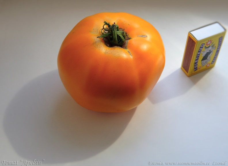 tomat_apelsina.jpg
