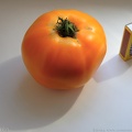 tomat_apelsina.jpg