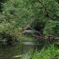 vaikeemajogirestu2