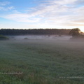 vastseliina