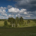 vidrike